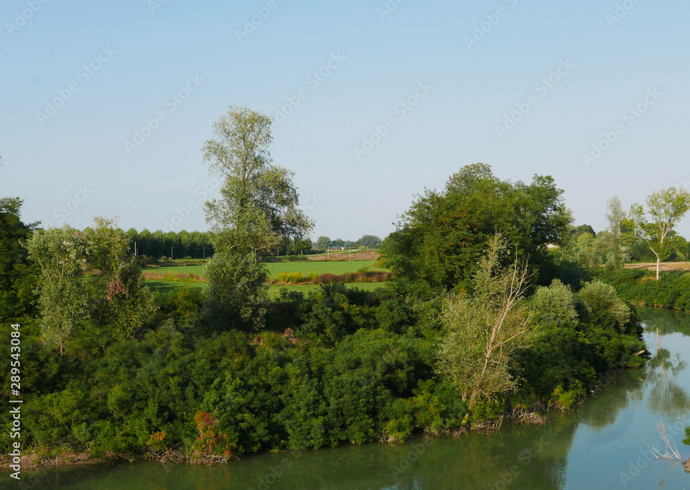 le sponde rigogliose e rilassanti del fiume serchia in italia le sponde rigogliose e rilassanti del fiume serchia in italia