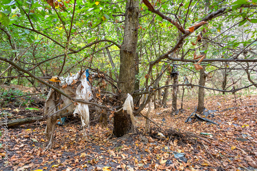 Plastic bags inside a beautiful forest. Environmental pollution.