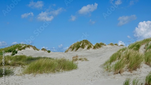 Fototapeta Naklejka Na Ścianę i Meble -  Dünen- und Strandlandschaft auf Ameland, Niederlande