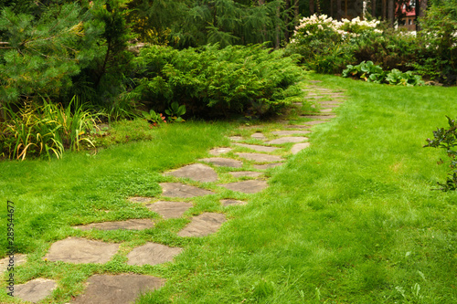 lawn among decorative bushes with a path made of stone slabs