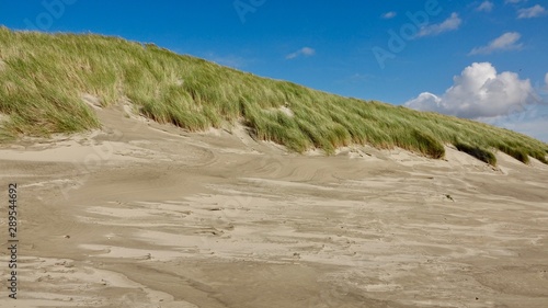 Wallpaper Mural Dünen- und Strandlandschaft auf Ameland, Niederlande Torontodigital.ca