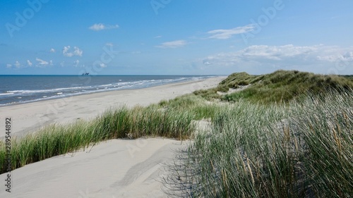 Dünen- und Strandlandschaft auf Ameland, Niederlande photo