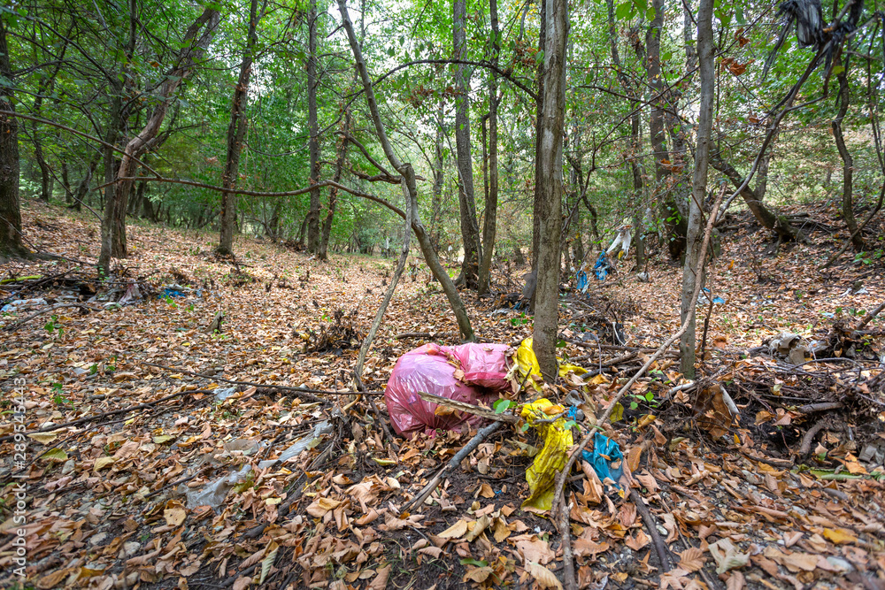 Plastic bags inside a beautiful forest. Environmental pollution. Plastic bags inside a beautiful forest. Environmental pollution.