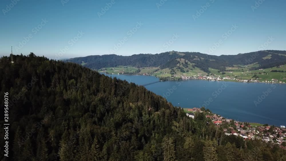 Pine alp woods of Sihlsee lake countryside landscape Switzerland, aerial shot Pine alp woods of Sihlsee lake countryside landscape Switzerland, aerial shot