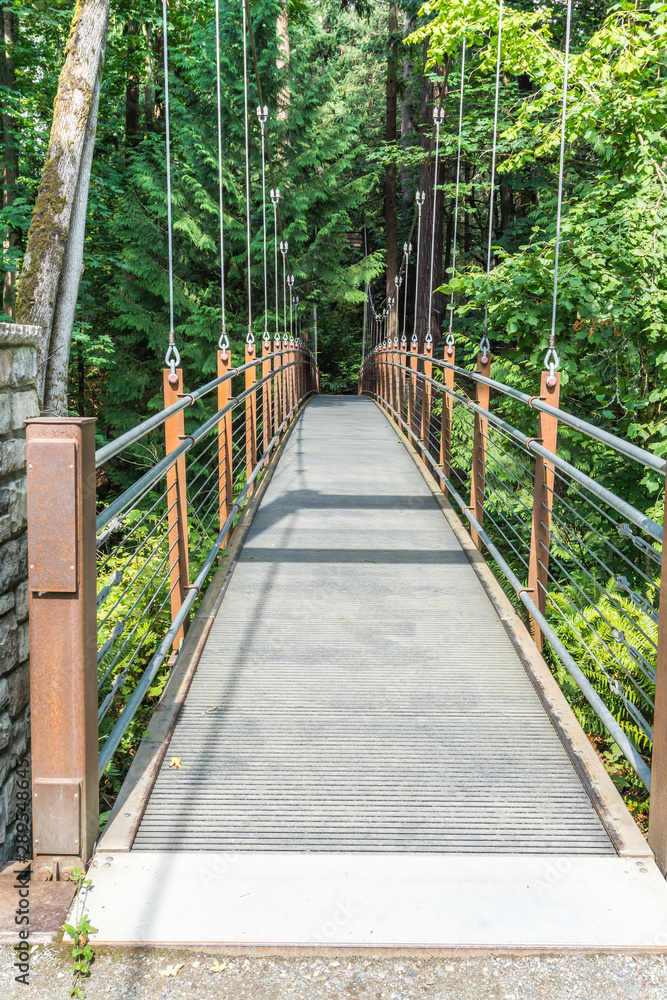 Fototapeta premium Suspension Walking Brdige