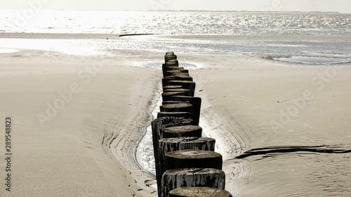 Hölzerne Wellenbrecher am Strand von Ameland, Nordsee photo