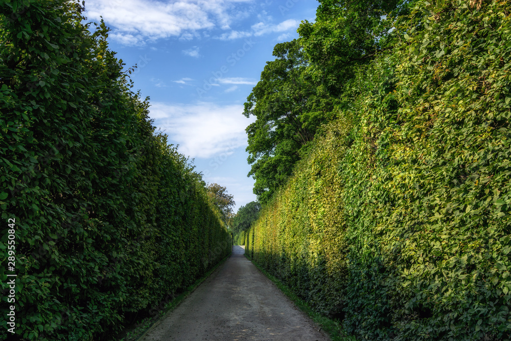 cesky krumlov castle garden maze