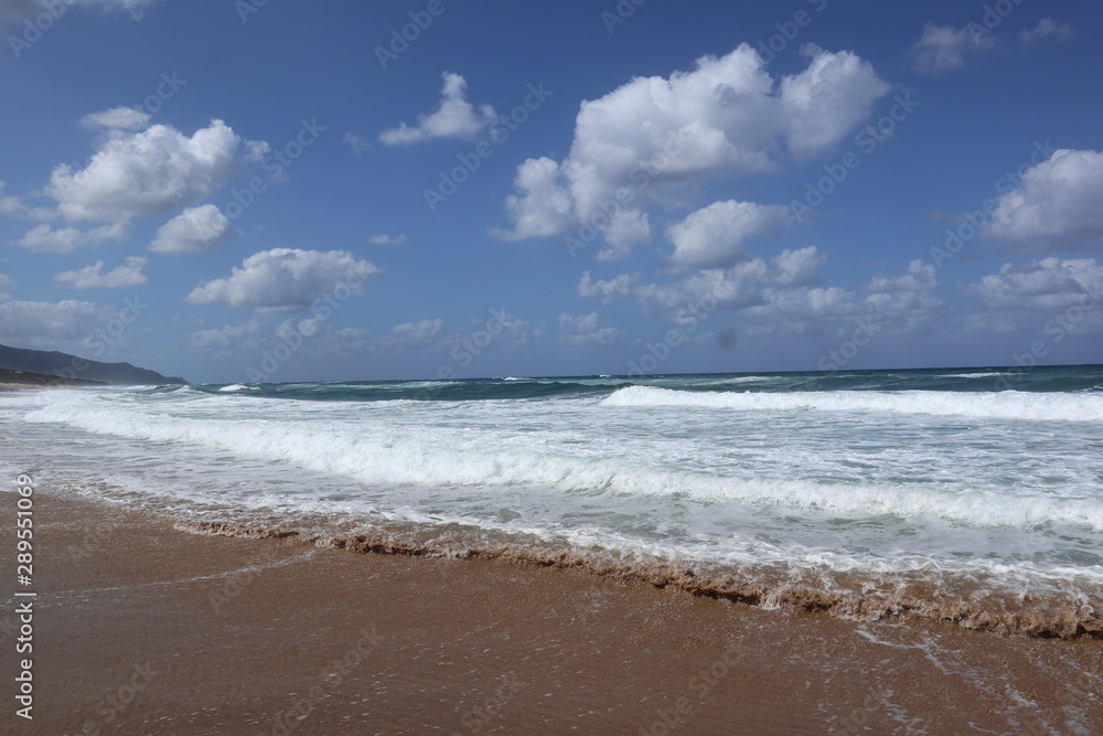 beach and sea