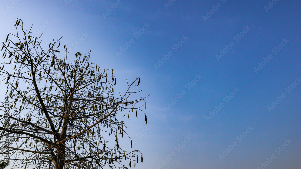 Blue sky that is in the natural state of Indonesia Blue sky that is in the natural state of Indonesia