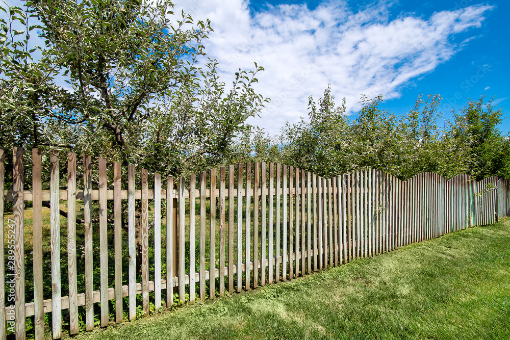 a wooden fence of apple orchard and green lawn on the summer sunny day with clouds on the sky, nobody.
