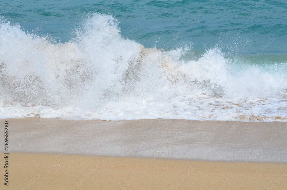 wave on the beach