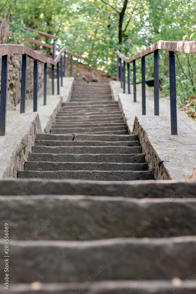 cement staircase goes up the slope in a green forest