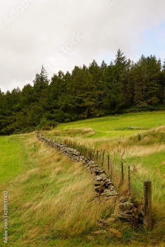 Pastoral Farm Pasture in Wales