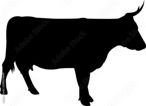 American Devon Cow Vector Silhouette