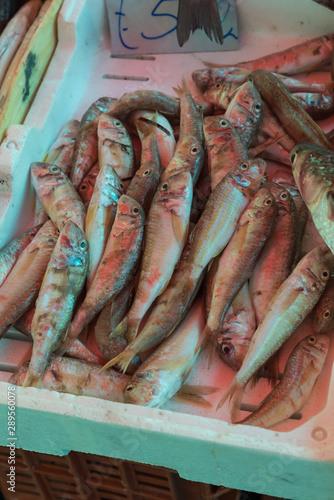 Fish at the Catania market