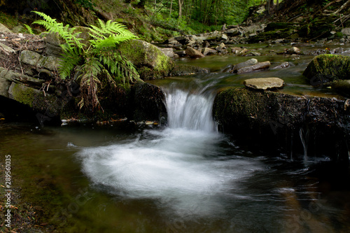 Small waterfall in the mountain forest with green fern and stones, long exposure