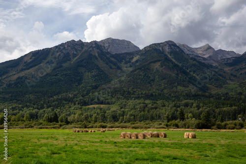 Bales of Hay in a farm field with Canadian Rocky Mountains in the Background during a vibrant sunny summer day. Taken in Kootenay near Fernie, British Columbia, Canada.