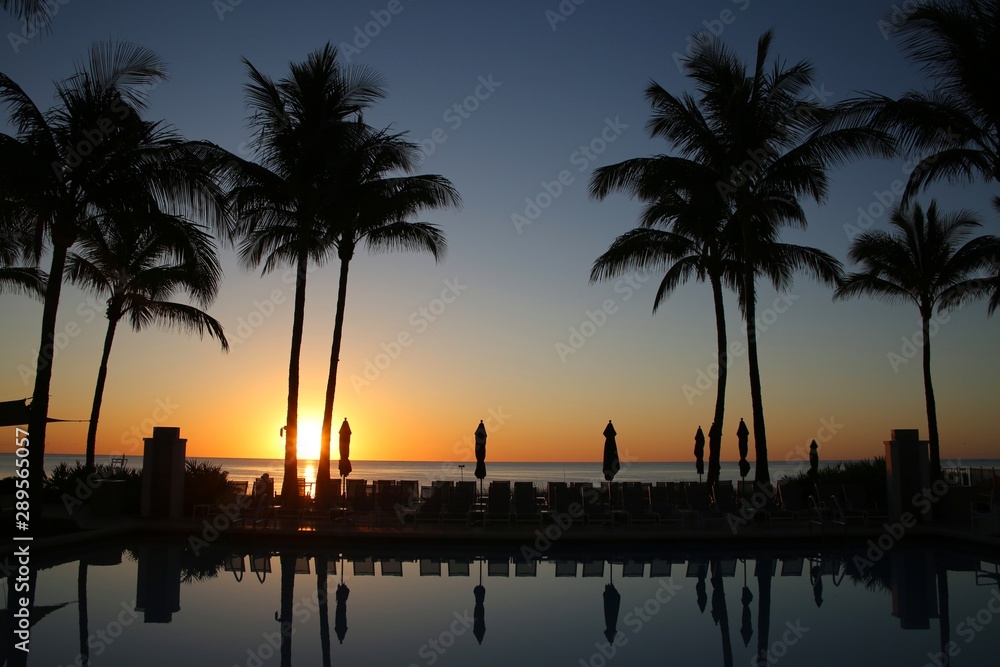 Obraz premium Golden Sun Rises over a Pool Deck Flanked by Palm Trees Above against a Clear Blue Sky in Florida