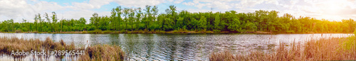 Panorama of the lake with a forest on the opposite shore in sunlight