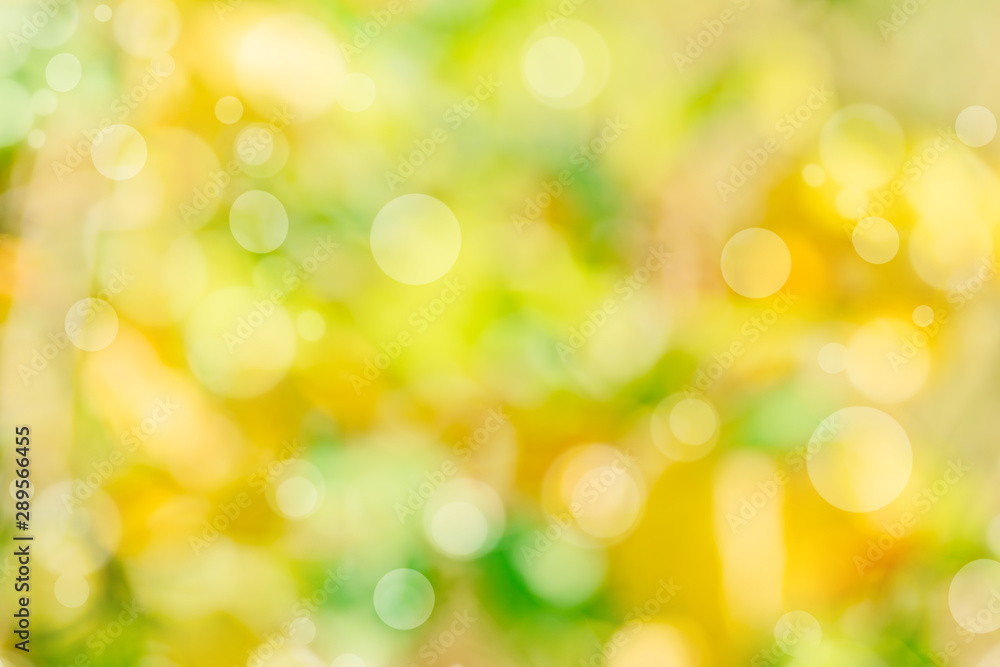 Abstract defocused nature background with colorful bokeh