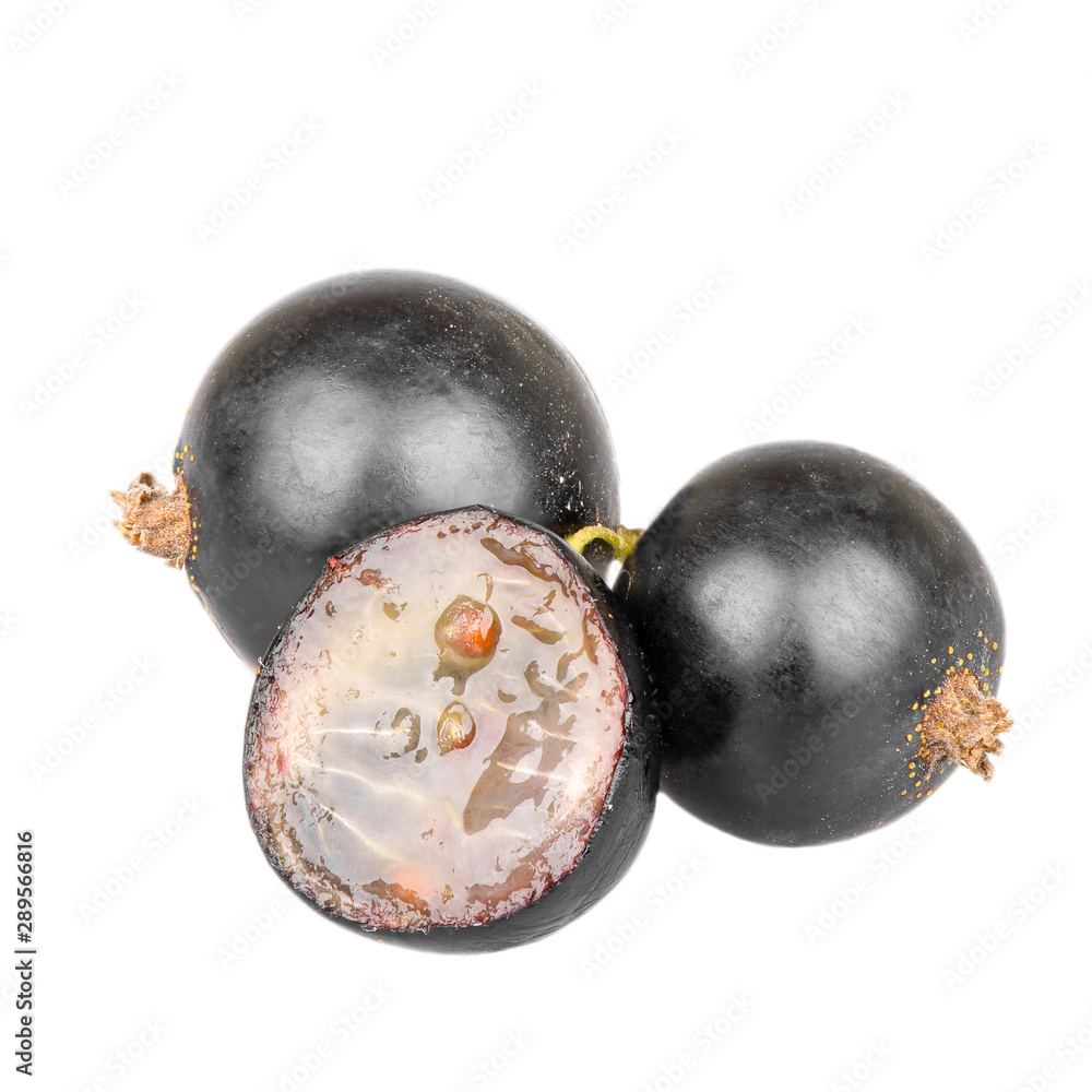 Cut black currants on a white background Cut black currants on a white background
