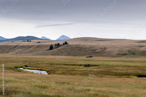 Landscape Montana
