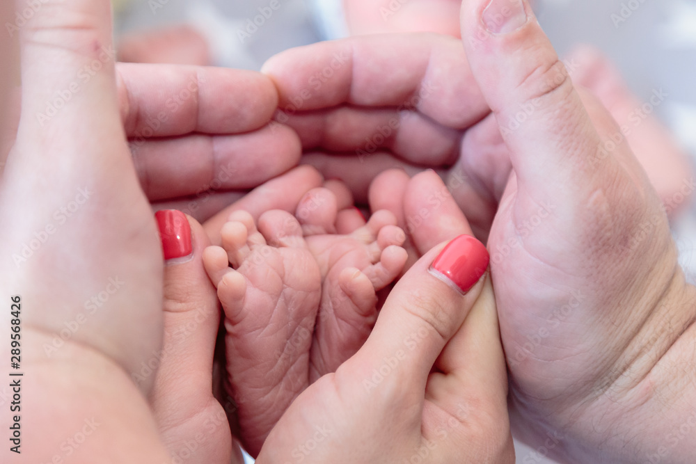 Newborns. Children's legs in the palm of your hand. Close-up. Newborns. Children's legs in the palm of your hand. Close-up.