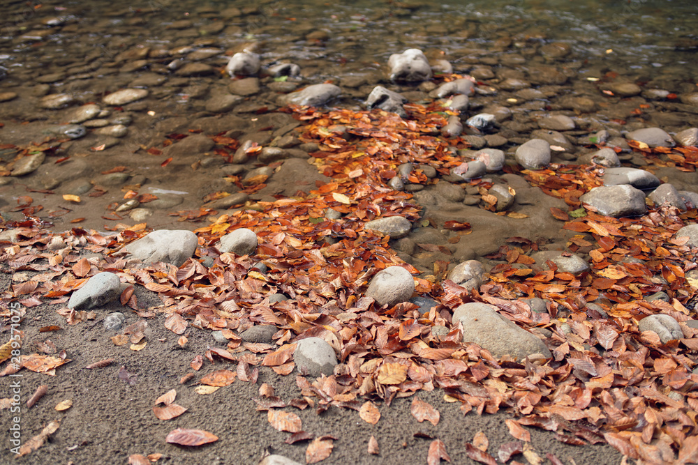 stones in water