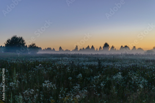 Beautiful summer landscape. In the meadow at dusk