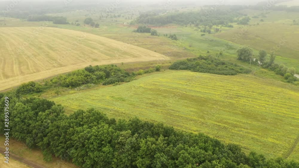 Flight over a striped wheat fields after harvest in autumn. Aerial view of autumn rural landscape. Flight over a striped wheat fields after harvest in autumn. Aerial view of autumn rural landscape.