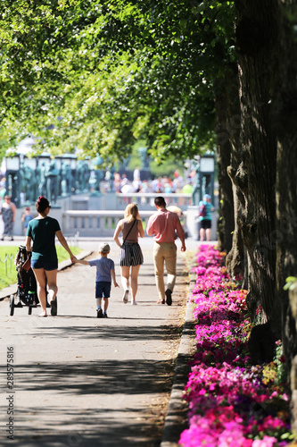 Fototapeta Naklejka Na Ścianę i Meble -  a stroll in the park