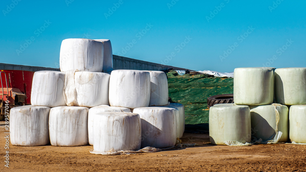 Wrapped hay rolls in countryside farm. Food and bedding for the cows in winter. Wrapped hay rolls in countryside farm. Food and bedding for the cows in winter.