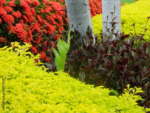 fotos paisaje naturaleza animales y ciudad