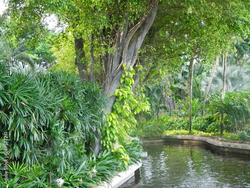 fotos paisaje naturaleza animales y ciudad