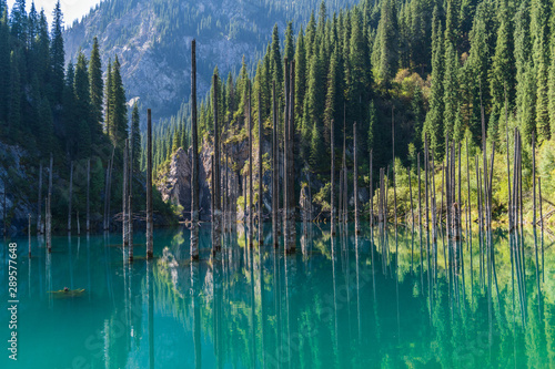 Fototapeta Naklejka Na Ścianę i Meble -  Kaindy lake - mountain lake in Kazakhstan