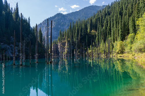 Fototapeta Naklejka Na Ścianę i Meble -  Kaindy lake - mountain lake in Kazakhstan