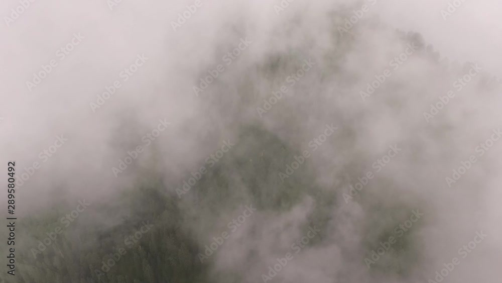 Aerial View of Kashmir Forest in Clouds Aerial View of Kashmir Forest in Clouds
