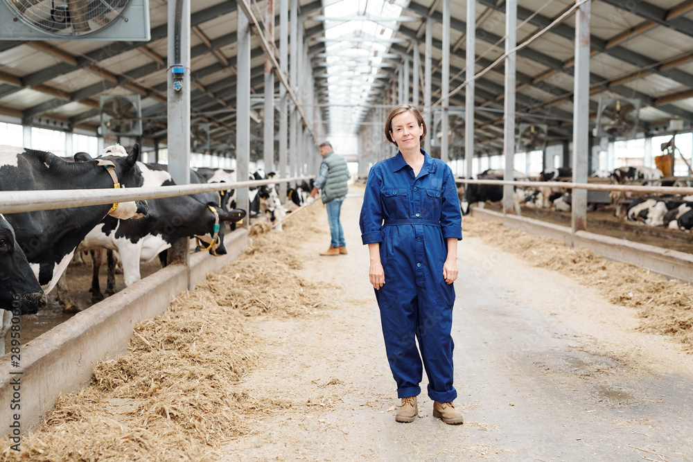 Happy young successful dairy farm staff in uniform standing in aisle