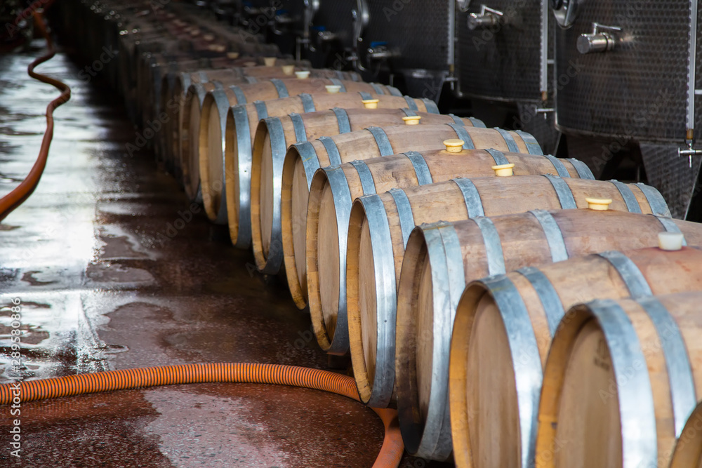 Oak barrels with red wine