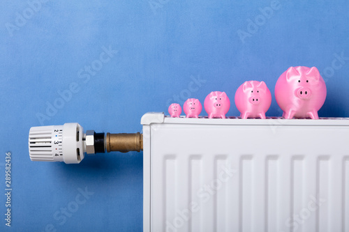 Pink Piggy Banks Kept In A Row On Radiator