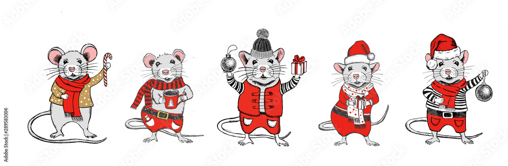 Mouse vector hand drawn illustration. New Year card. Mouse vector hand drawn illustration. New Year card.