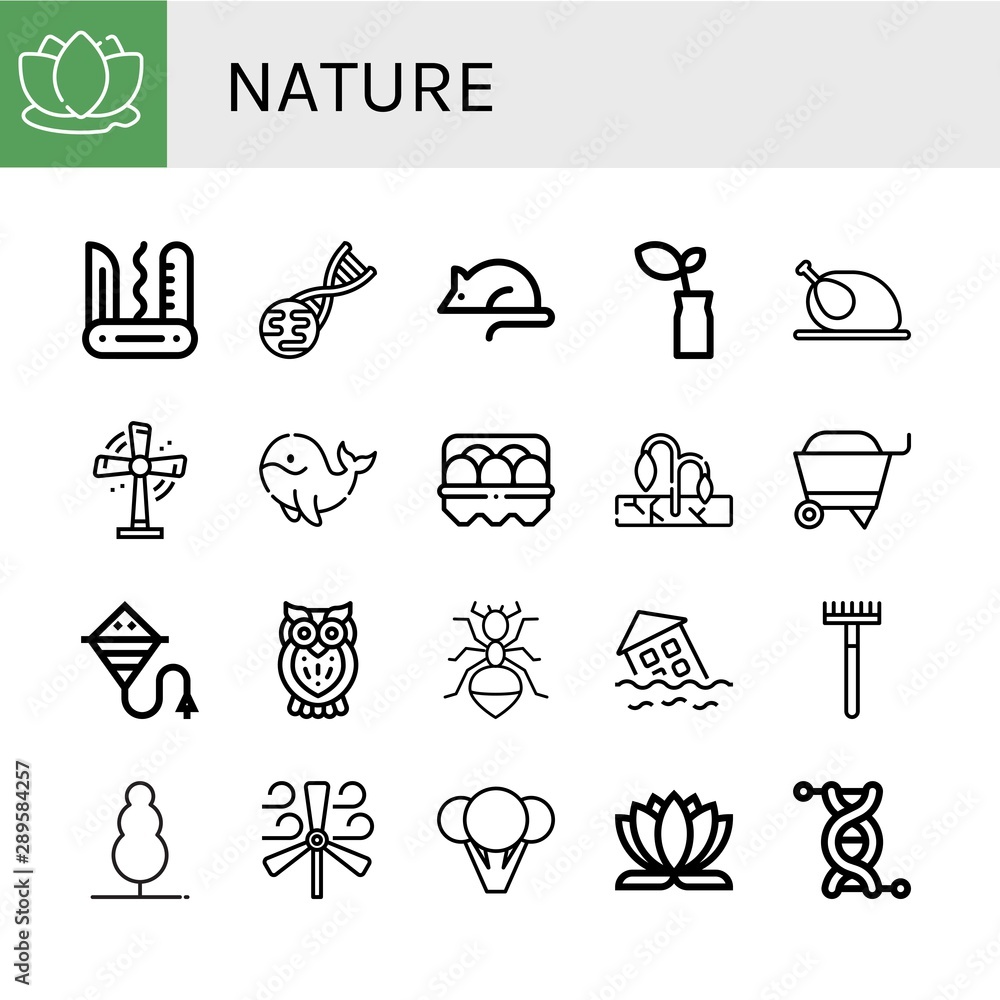 Set of nature icons such as Lotus, Swiss army knife, Gmo, Animal testing, Plant, Chicken, Turbine, Whale, Egg, Drought, Wheelbarrow, Kite, Owl, Ant, Flood, Rake, Tree , nature Set of nature icons such as Lotus, Swiss army knife, Gmo, Animal testing, Plant, Chicken, Turbine, Whale, Egg, Drought, Wheelbarrow, Kite, Owl, Ant, Flood, Rake, Tree , nature