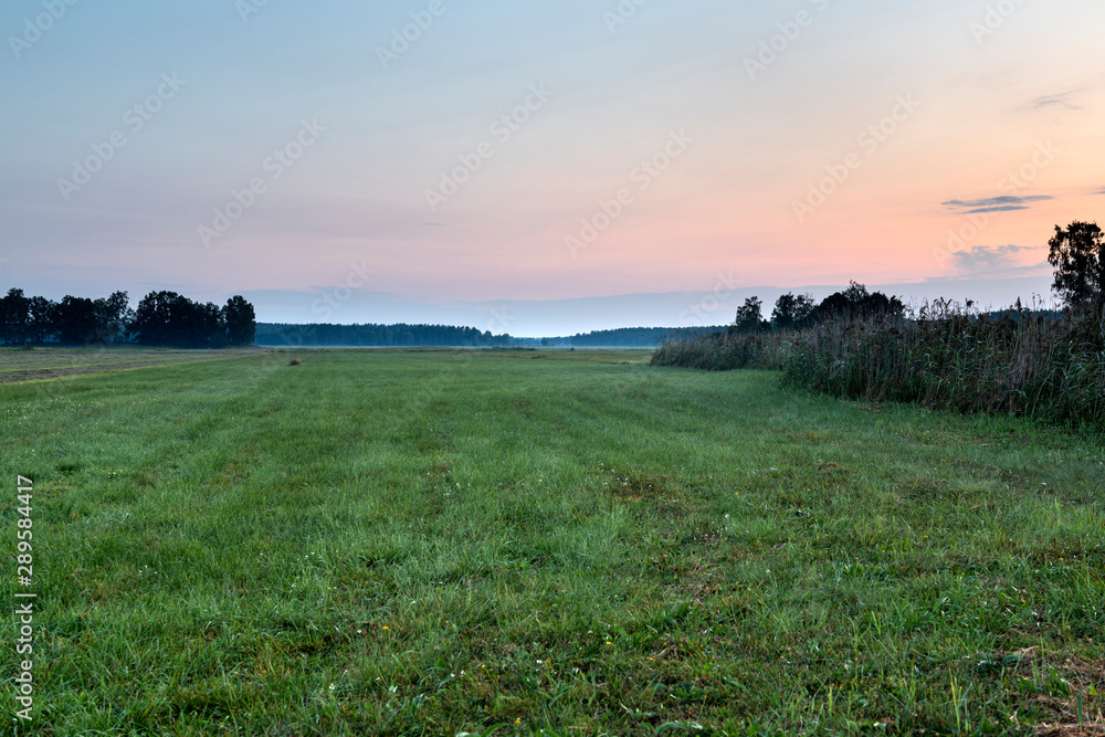 Fototapeta premium The Biebrza National Park in northern Poland