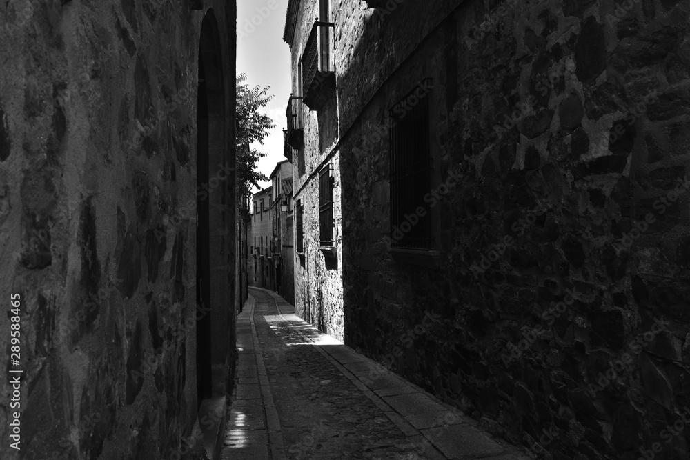 Obraz premium Narrow street of Cáceres in black and white