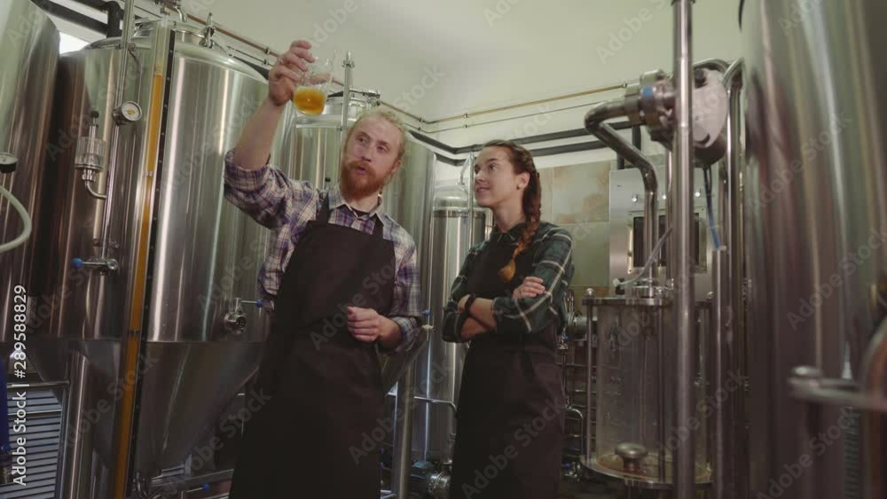 Brewery workers looking at freshly made beer in glass tube and discussing it. Male and female brewer testing beer at brewery factory. 4k. Small business concept. Brewery workers looking at freshly made beer in glass tube and discussing it. Male and female brewer testing beer at brewery factory. 4k. Small business concept.