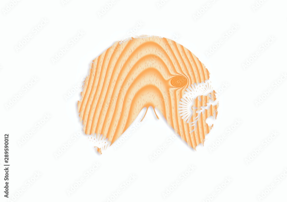 Obraz premium 抽象的な富士山