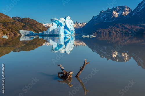 A dead branch and giant iceberg reflection in Lago Grey (Grey Lake) near the Grey Glacier, Torres del Paine national park, Puerto Natales, Patagonia, Chile. photo