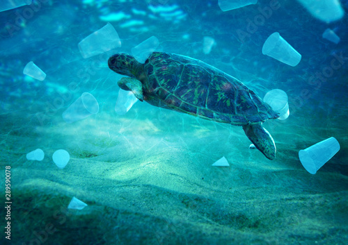 Photography Plastic pollution in the environmental problem of the ocean