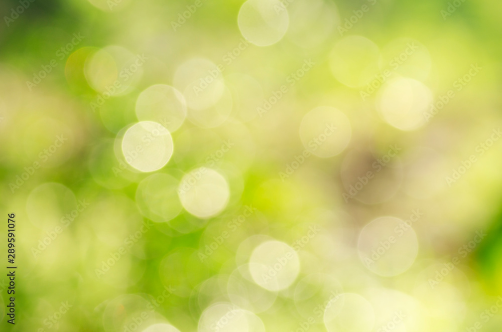 Green background, blurred bokeh and sunlight 