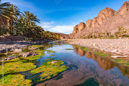 Bild auf Leinwand Fresh river in Beautiful Desert oasis nature landscape in Oasis De Fint near Our